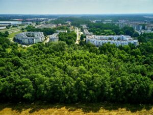 Ekoplany Łodzi na 2022 rok