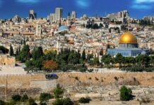 Izrael: 720 mln dol. na posadzenie 450 tys. drzew