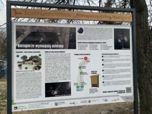 Spacer śladami nietoperzy możliwy w Lublinie