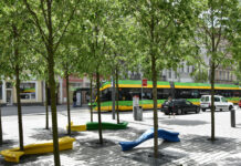 Zielona rewitalizacja Poznania