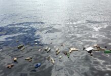 Według naukowców zanieczyszczenie plastikiem prawie tak groźne jak globalne ocieplenie