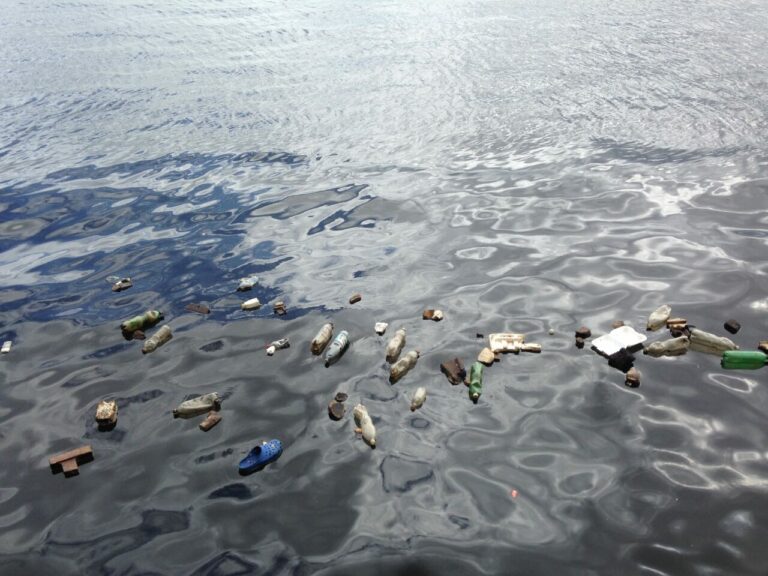 Według naukowców zanieczyszczenie plastikiem prawie tak groźne jak globalne ocieplenie