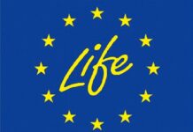 NFOŚiGW rozpocznie nabór nowych wniosków w programie LIFE
