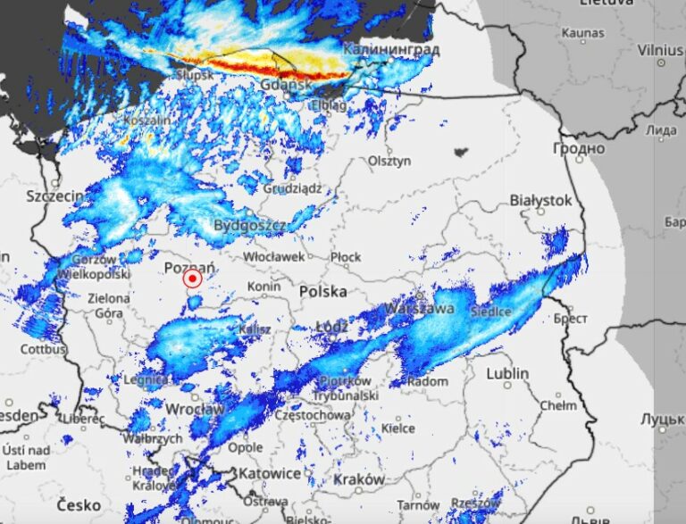30 tys. odbiorców bez prądu w Wielkopolsce. Powodem wichury