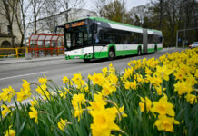 Białystok. Obywatele Ukrainy będą bezpłatnie jeździć miejskimi autobusami