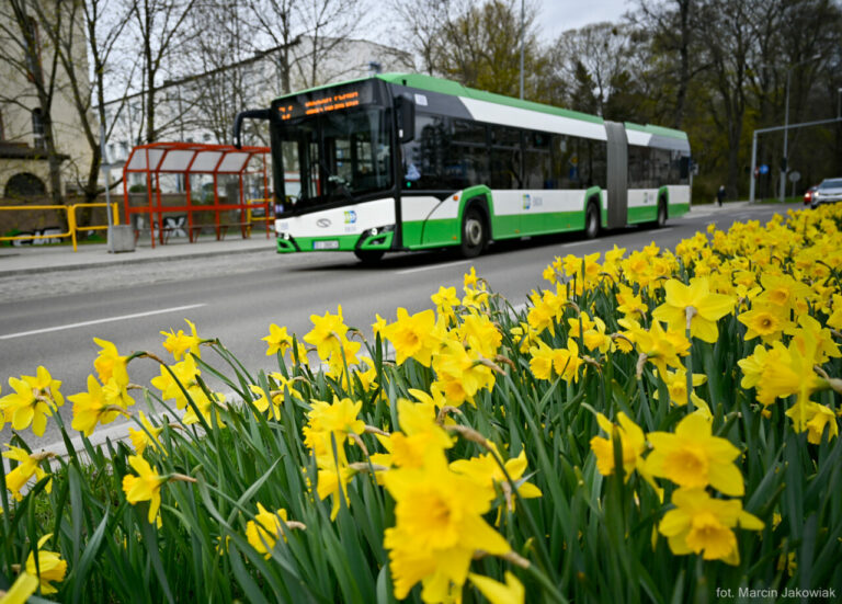 Białystok. Obywatele Ukrainy będą bezpłatnie jeździć miejskimi autobusami