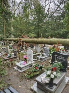 Szczecin: trudna sytuacja na Cmentarzu Centralnym