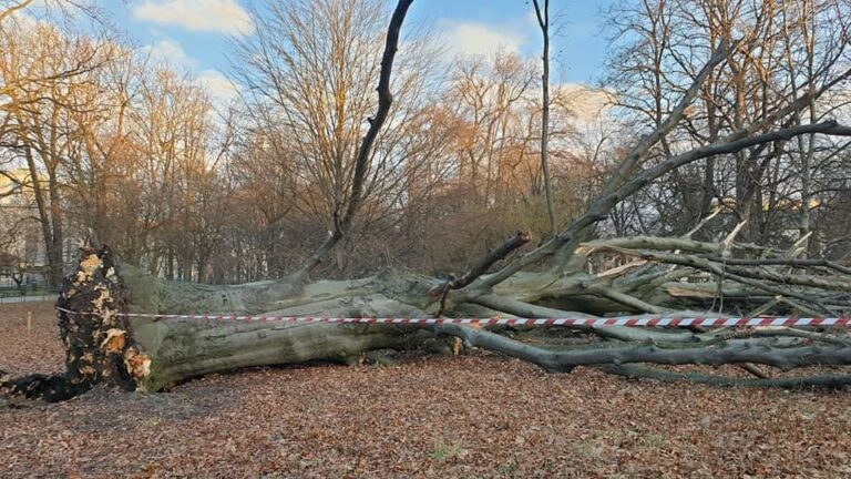 Strażacy sprzątają po sobotniej pogodowej katastrofie