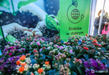 Kraków: Kwiaty i budki lęgowe za elektroodpady