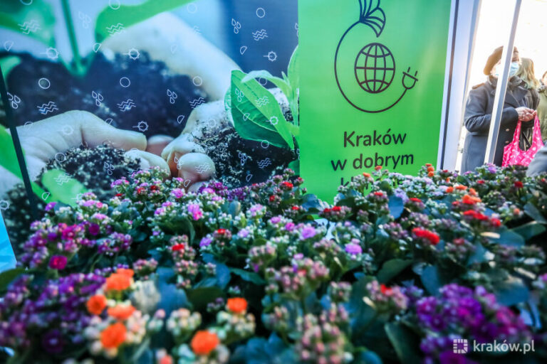 Kraków: Kwiaty i budki lęgowe za elektroodpady