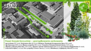 Śródmieście Częstochowy będzie bardziej zielone