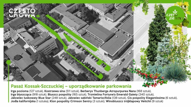 Śródmieście Częstochowy będzie bardziej zielone