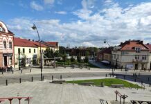 3 mln zł na drzewa w Jaworznie