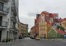 Poznań: straż miejska odebrała w ub. roku ponad 18,4 tys. zgłoszeń związanych z ochroną środowiska