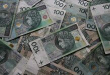 Golińska: w 2022 r. dotacja dla parków narodowych wyniesie blisko 135 mln zł