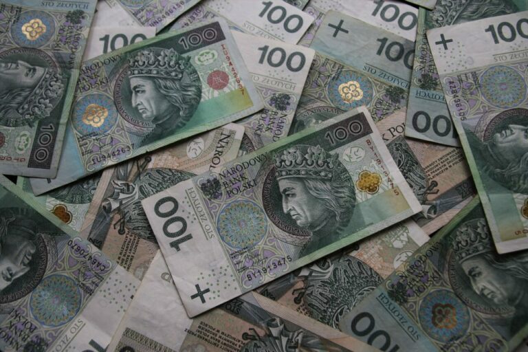 Golińska: w 2022 r. dotacja dla parków narodowych wyniesie blisko 135 mln zł