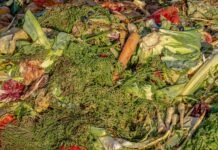 Ministerstwo klimatu szykuje badania, które pomogą w zliczaniu odpadów z kompostowników
