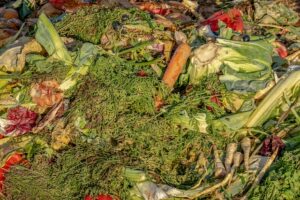 Ministerstwo klimatu szykuje badania, które pomogą w zliczaniu odpadów z kompostowników