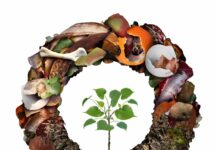 Dobre praktyki przetwarzania odpadów biodegradowalnych odpady biodegradowalne