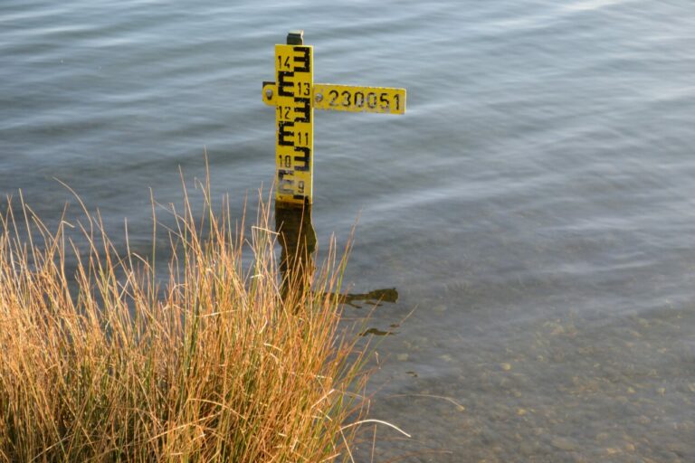 IMGW ostrzega przed wzrostem stanów wód