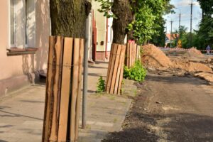 Miasta mówią „stop” bezmyślnej wycince drzew