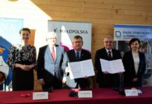 Małopolskie: W Ciężkowicach powstanie ścieżka w koronach drzew