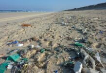 Raport WWF: jednorazowy plastik odpowiada za ponad 60 proc. zanieczyszczenia w oceanach