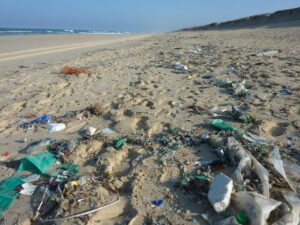 Raport WWF: jednorazowy plastik odpowiada za ponad 60 proc. zanieczyszczenia w oceanach