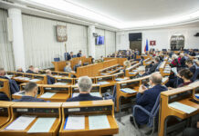 Nowela dotycząca parasolowych projektów OZE trafi do podpisu prezydenta