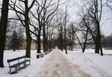 Warszawa: wraca pomysł wykorzystania fusów z kawy do posypywania chodników