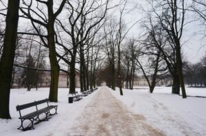 Warszawa: wraca pomysł wykorzystania fusów z kawy do posypywania chodników