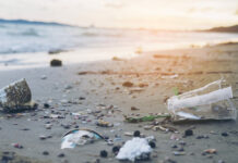 Mikroplastik dziesięciokrotnie zwiększa szkodliwość organicznych zanieczyszczeń