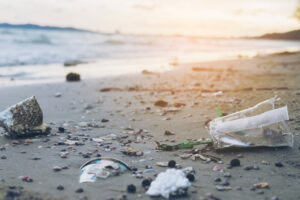 Mikroplastik dziesięciokrotnie zwiększa szkodliwość organicznych zanieczyszczeń