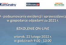 Sprawozdawczość roczna w BDO. Już 22 lutego praktyczne warsztaty on-line