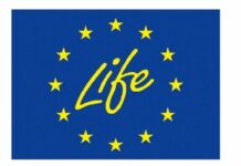 Rusza Inkubator wniosków LIFE. Jak aplikować i kto może liczyć na na dofinansowanie?
