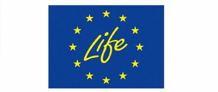 Rusza Inkubator wniosków LIFE. Jak aplikować i kto może liczyć na na dofinansowanie?
