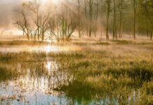 Bagna i wody podziemne to opłacalna inwestycja