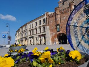 Bratki przyozdobiły Lublin na wiosnę