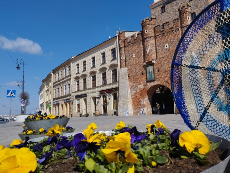 Bratki przyozdobiły Lublin na wiosnę