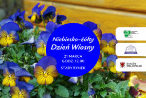 Niebiesko-żółty pierwszy dzień wiosny w Gorzowie