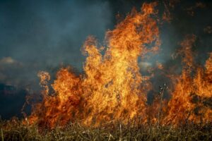 PSE: Wypalanie traw zagraża sieciom energetycznym