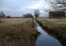 Kujawsko-pomorskie. Dotacje na utrzymanie sieci melioracyjnej