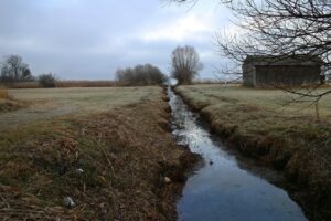 Kujawsko-pomorskie. Dotacje na utrzymanie sieci melioracyjnej