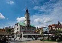 Gliwice w śląskim projekcie “Przywracamy błękit”
