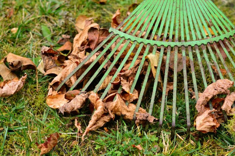 Akcja „Sobotnik”, czyli Ukraińcy społecznie pomagają w sprzątaniu polskich parków