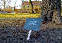 Gliwice nawiązują do miasta-ogrodu