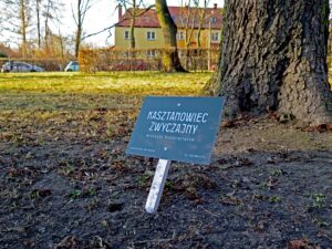 Gliwice nawiązują do miasta-ogrodu