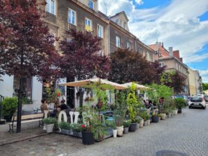 Gliwice wprowadzają zarządzenie dotyczące wyglądu ogródków kawiarnianych