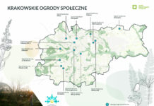 Krakowskie Ogrody Społeczne