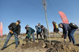 Gdańsk rozpoczyna sezon sadzenia drzew